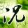 副所长为完成任务设计让6人吸毒